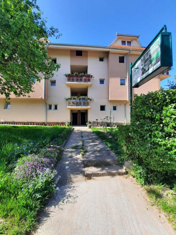 Smestaj Milenkovic Soko Banja Exterior foto