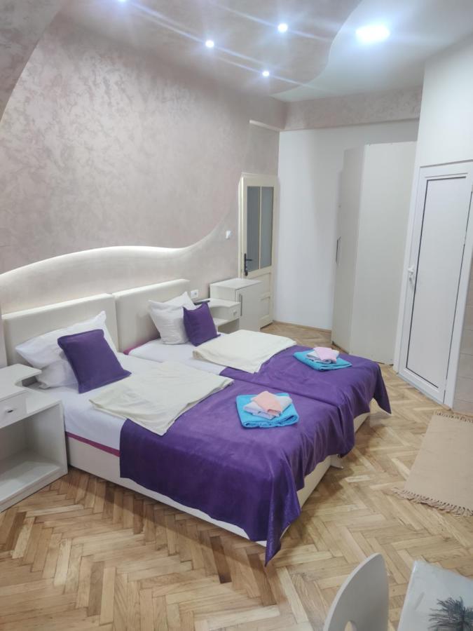 Smestaj Milenkovic Soko Banja Exterior foto
