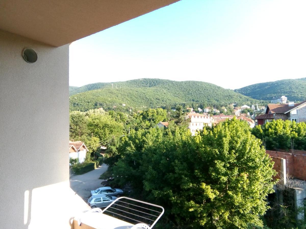 Smestaj Milenkovic Soko Banja Exterior foto